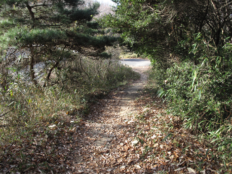 20131223hike (204)